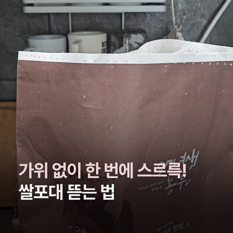 쌀포대 뜯는 법! 가위 없이 한 번에 스르륵 푸는 초간단 살림 꿀팁
