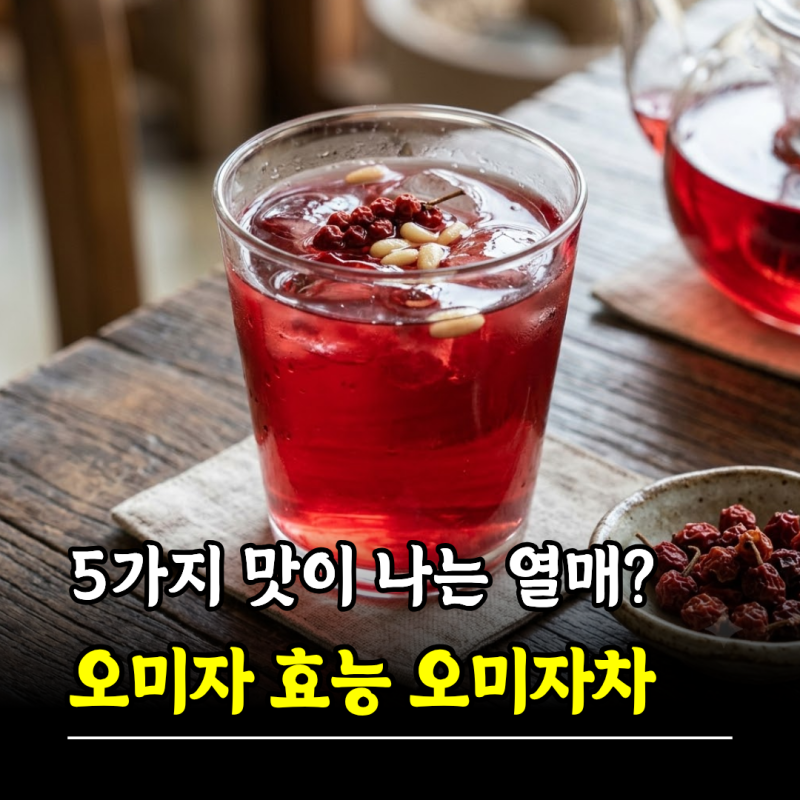 5가지 맛이 나는 열매? 오미자 효능 오미자차 먹는법