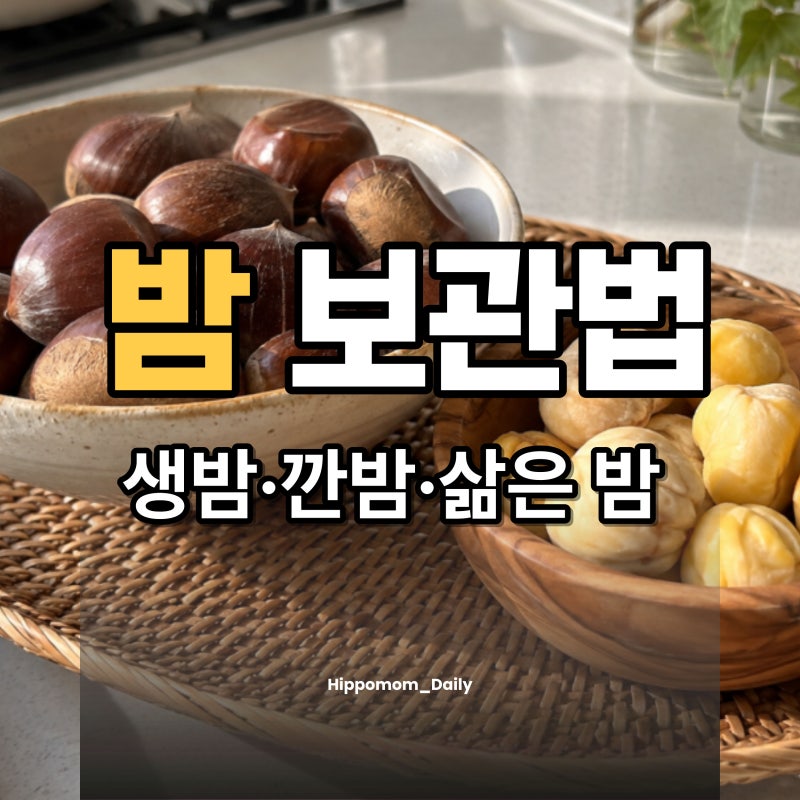 밤 보관법, 생밤·깐밤·삶은 밤은 이렇게 달라요
