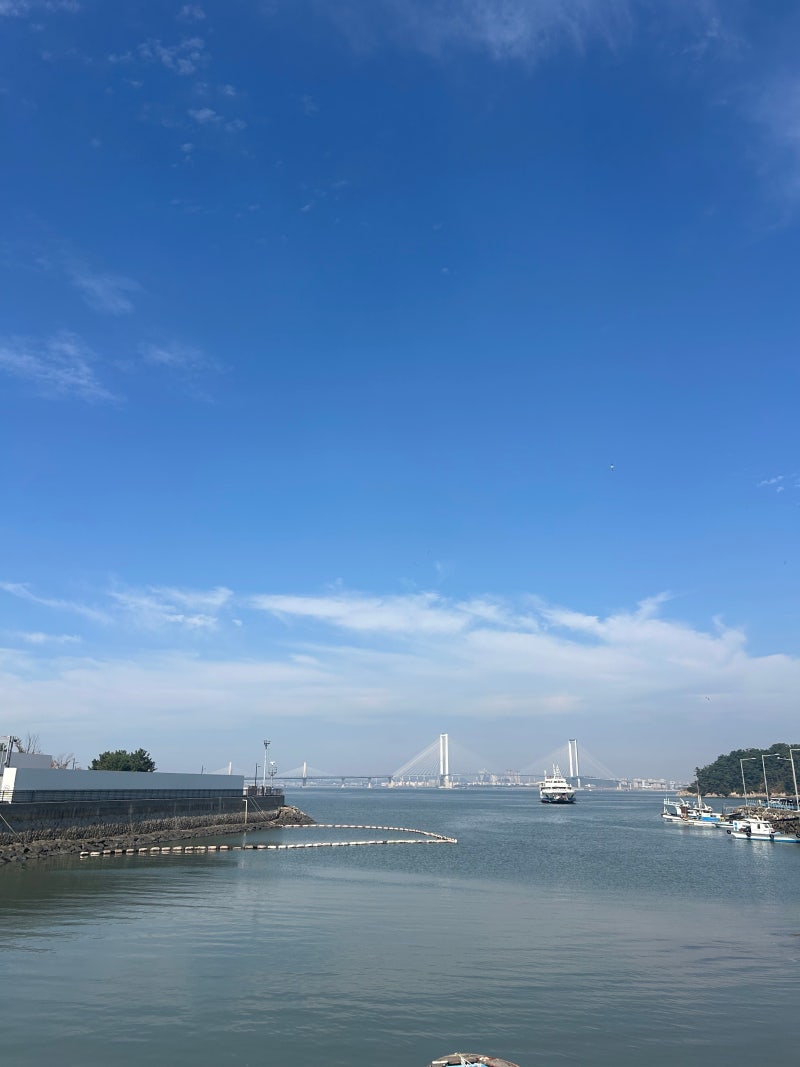 서울근교드라이브코스 영종도 당일치기 찍먹 (Feat.97도씨해물칼국수 영종본점, 브레드코 내....