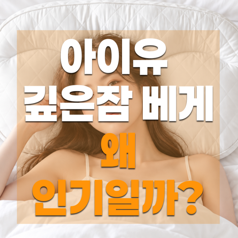 아이유 깊은잠 베개, 왜 인기일까? 슬립앤슬립 베개 방향부터 세탁법까지 (S사이즈+면 베개커....
