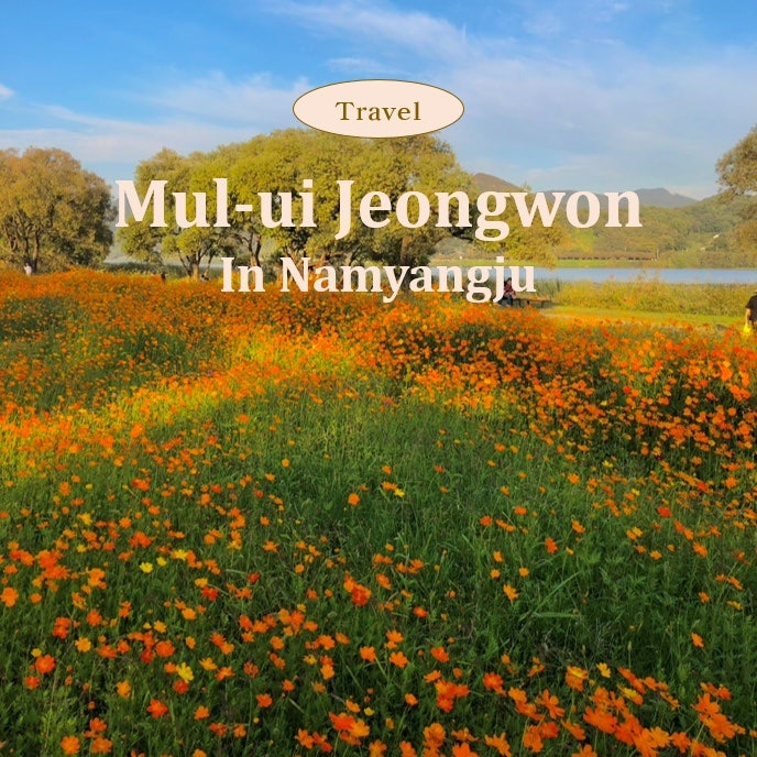 남양주 ‘물의 정원’ㅣ서울근교 당일치기 가볼만한곳•코스모스 명소 추천