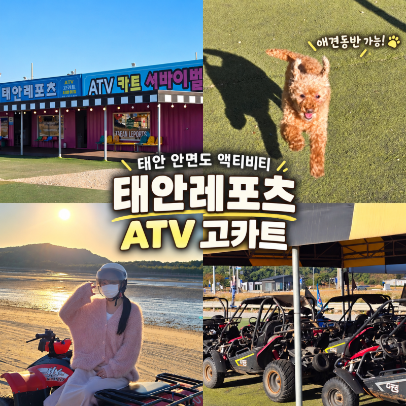 태안 안면도 가볼 만한 곳 아이와 애견동반 여행코스로 좋은 액티비티 태안레포츠 ATV 고카트....