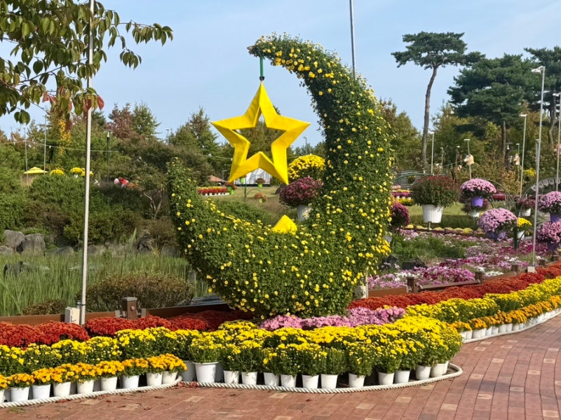 2026 유성국화축제 일정 총정리｜기간·포토존·공연·주차 정보