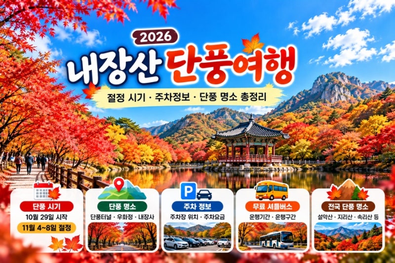 2026 내장산 단풍 절정 시기｜주차장·무료 셔틀버스·전국 단풍 명소 총정리