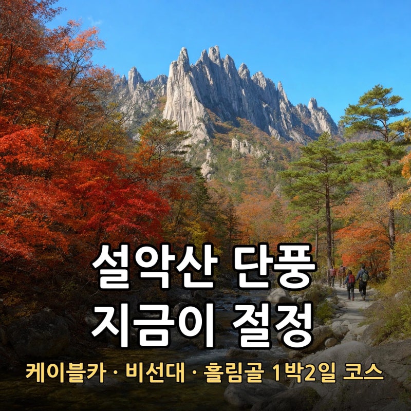설악산 단풍 코스 추천, 지금이 절정인 케이블카·비선대·흘림골 1박2일 (2026)
