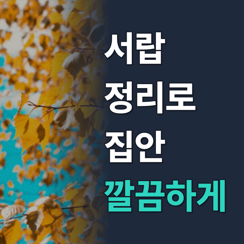 서랍형 펜트리 수납함 투명 서랍 정리함 리빙박스 약통정리함 소형