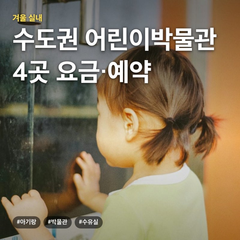 영유아 실내 나들이 수도권 어린이박물관 4곳, 무료 개월 수·회차 예약 비교