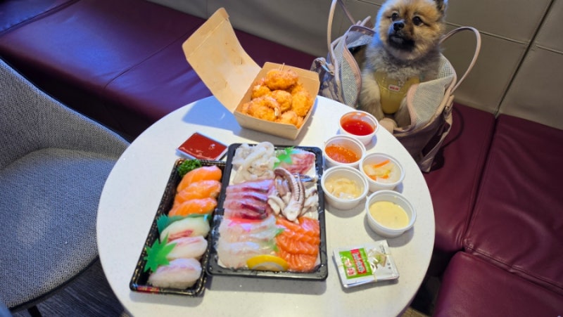 동문시장 회포장 야시장 횟집 가성비 맛집 두툼회