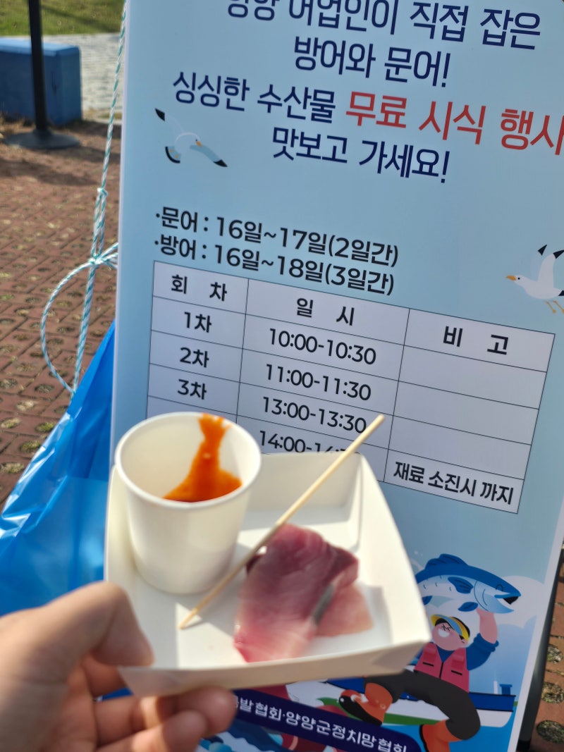 2026 양양 송이연어축제 첫날 후기｜가족 나들이 주차·먹거리·화장실 꿀팁