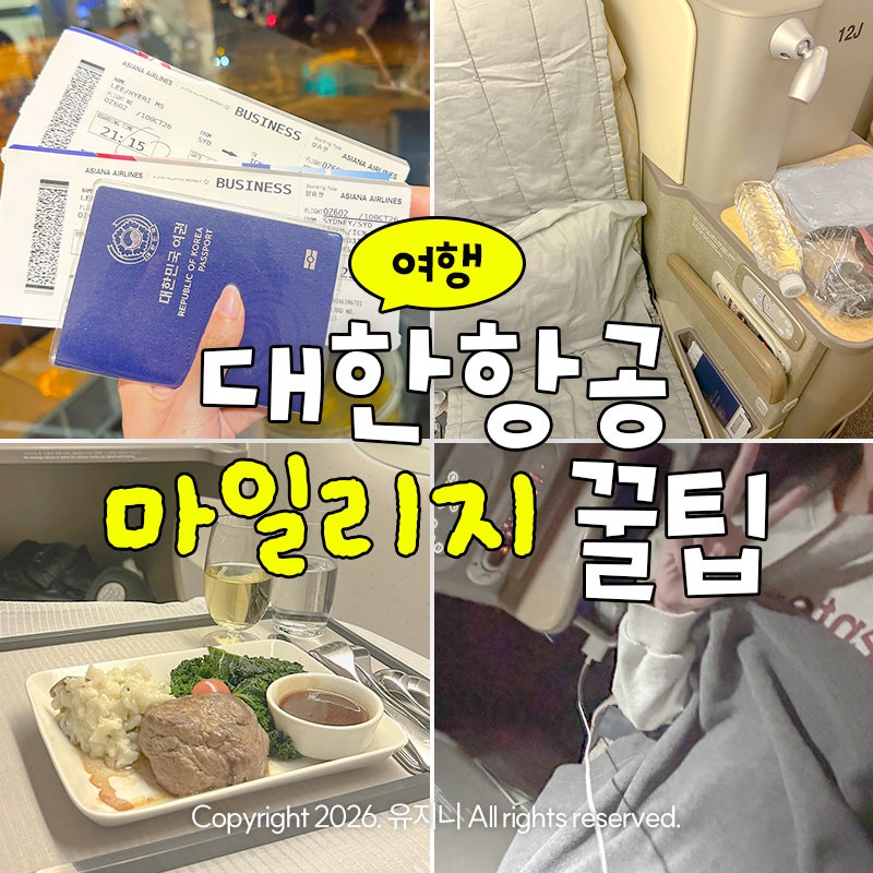 대한항공 마일리지 모으는 방법 꿀팁 카드 비교 비즈니스석 발권 공제표
