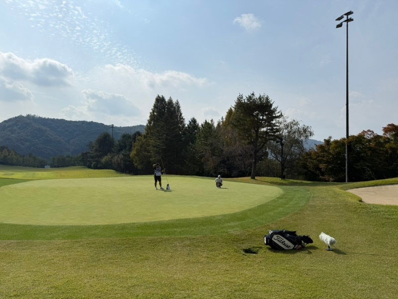KLPGA 아이스버그골프 · 서울신문 오픈 ㅣ 1R 갤러리 후기