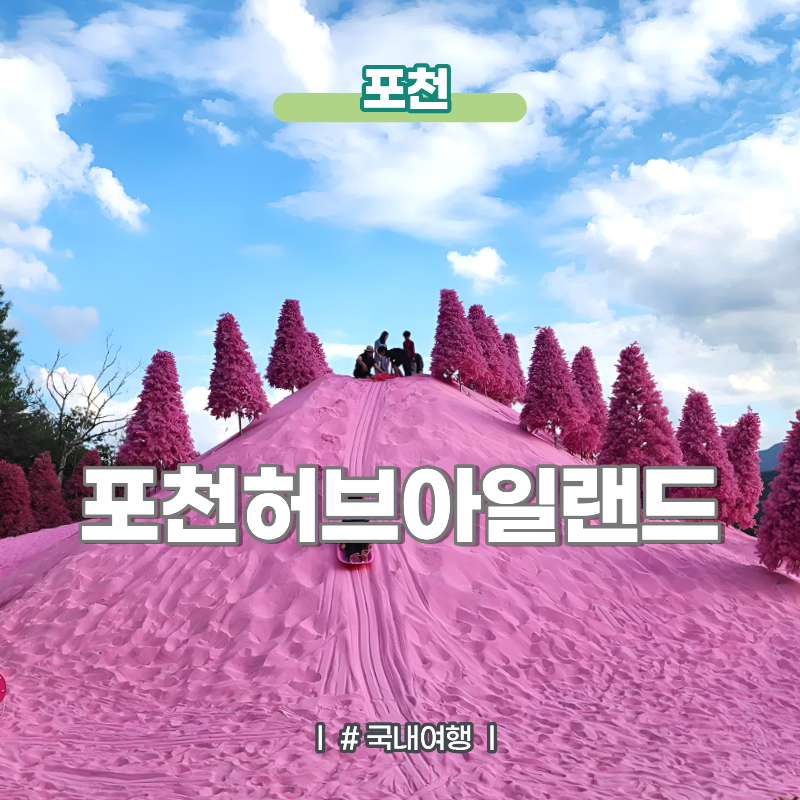 경기도포천 가볼만한곳 핑크뮬리 명소 포천허브아일랜드