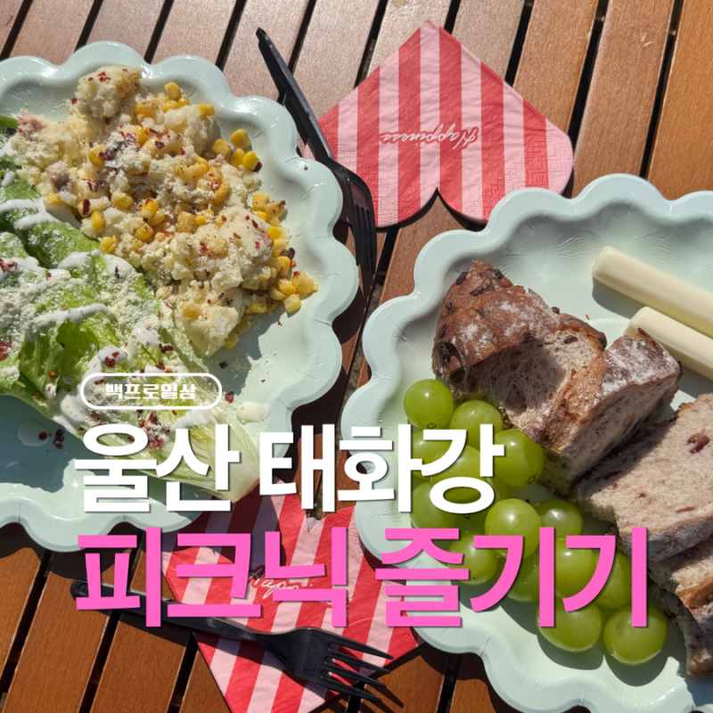[백프로일상] 울산 태화강 피크닉/ 캠프닉 후기 | 날씨 좋은 날 강변에서 힐링