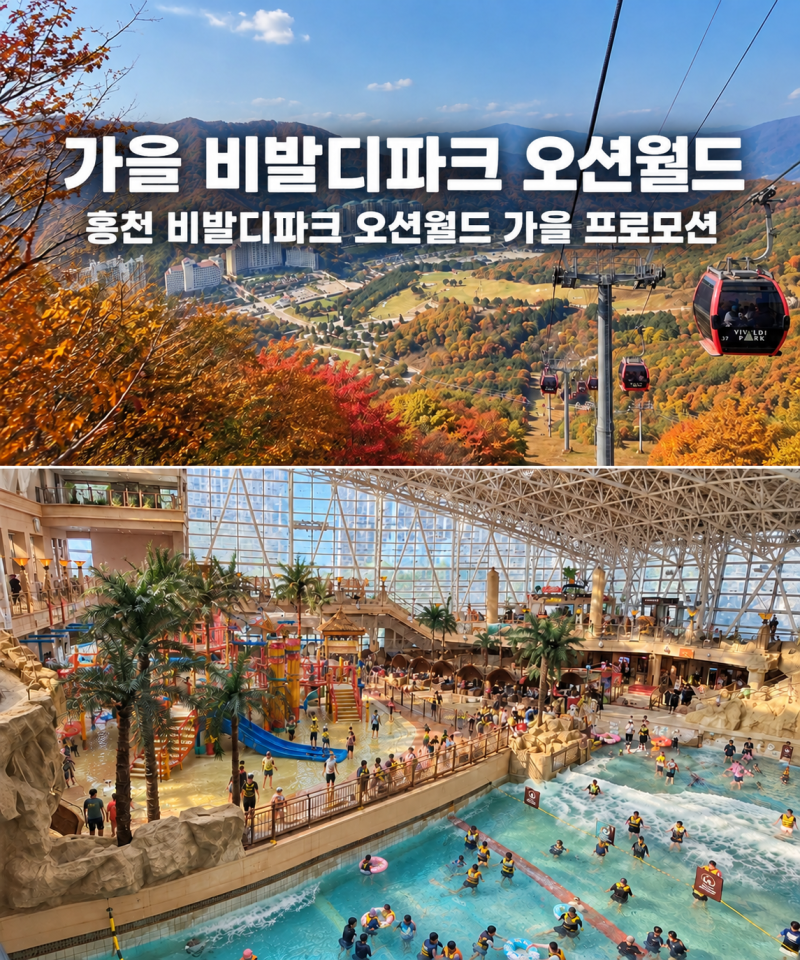 홍천 소노벨 비발디파크 오션월드 가을 패키지 특가