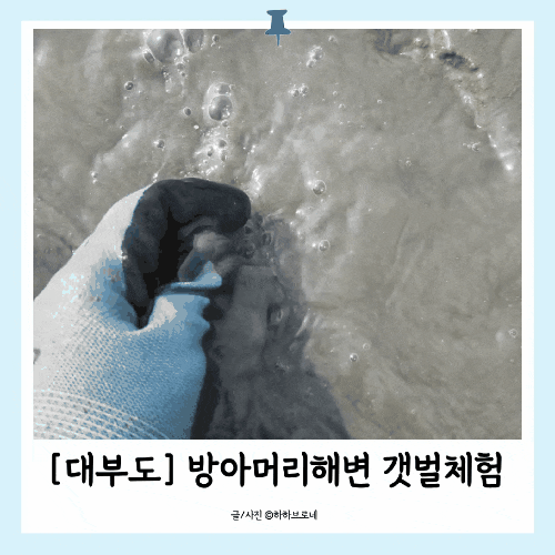 [대부도] 방아머리해변 무료 갯벌체험 파면 조개 나오는 곳 아이와 가볼만한곳 준비물 주차