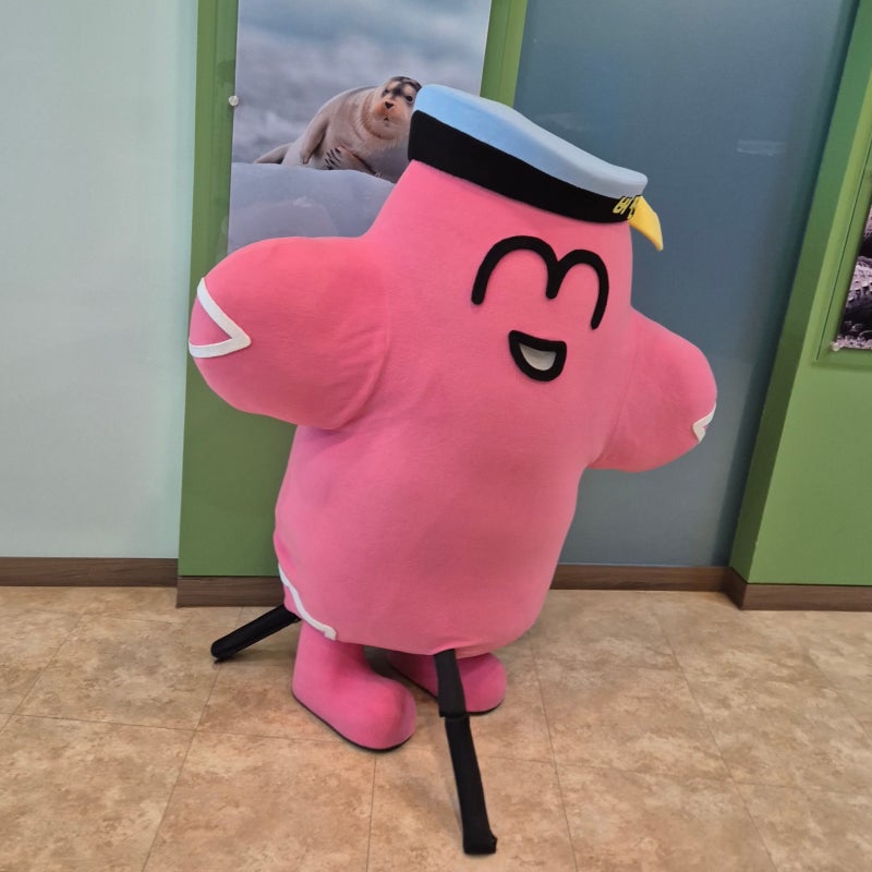 진해 해양생물테마파크, 아이와 함께 가기 좋은 창원 실내 나들이