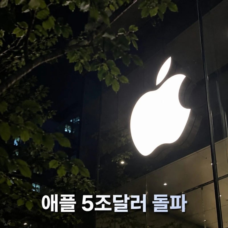 애플 시총 5조달러 돌파와 애플 시리 AI 서비스 경쟁력
