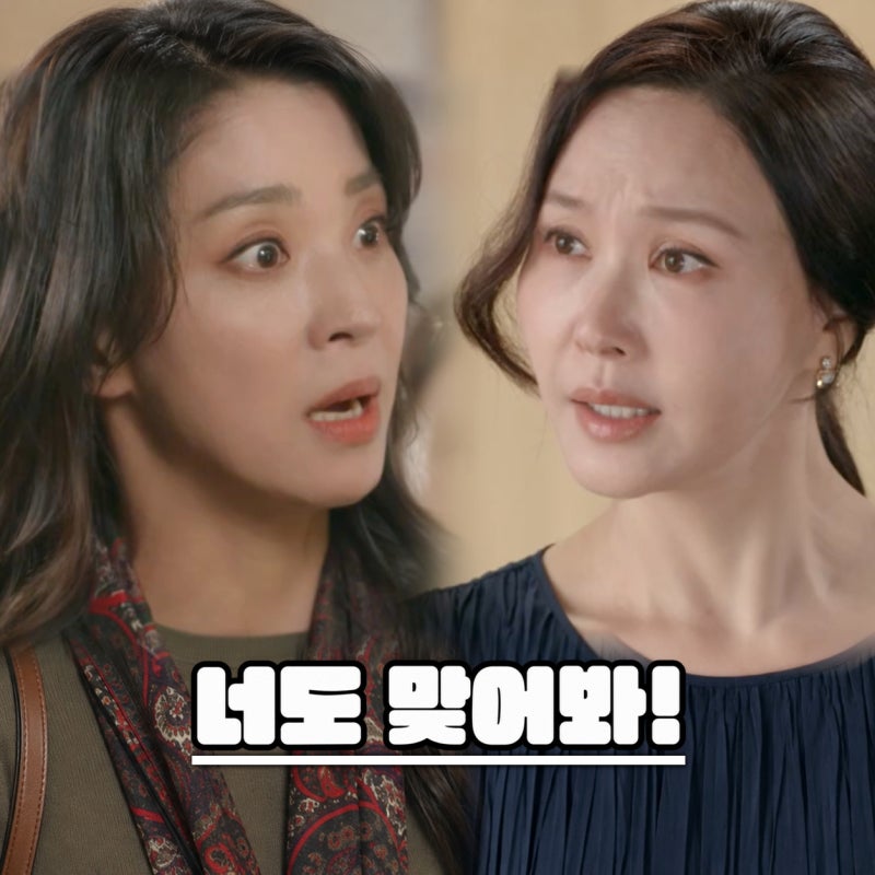 가족관계증명서 63회, 한고은 최수란에게 똑같이 때린 이유! 속이 다 시원해 (일일 드라마)
