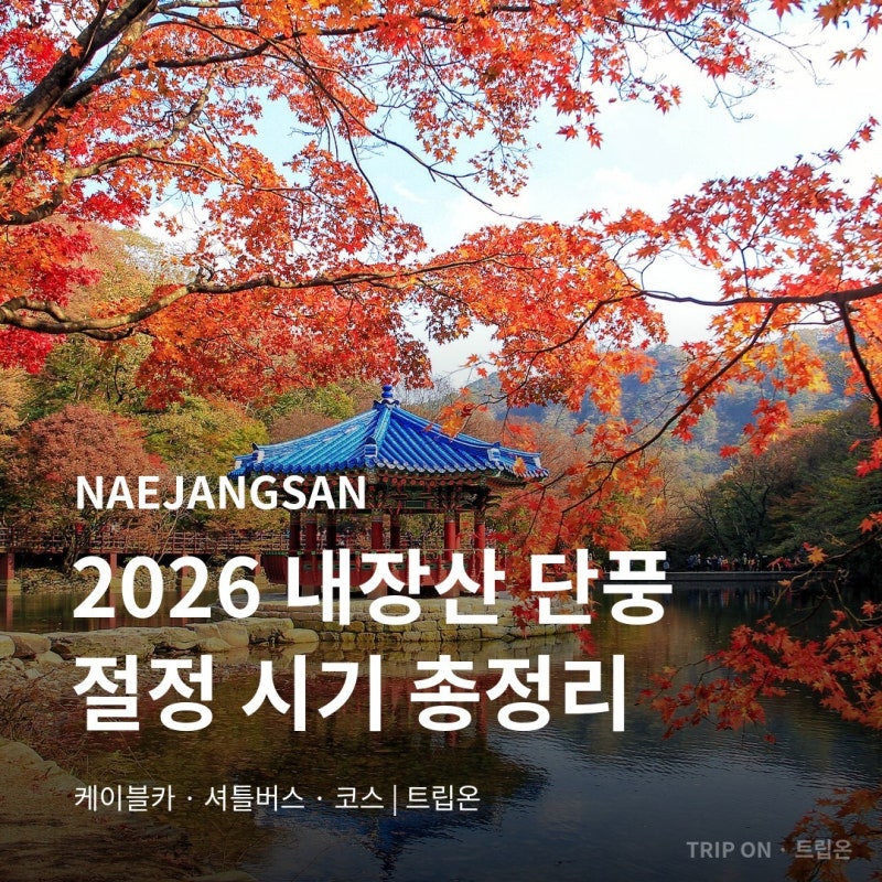 내장산 단풍 절정 시기 2026 | 케이블카·셔틀버스·주차·우화정 코스 총정리