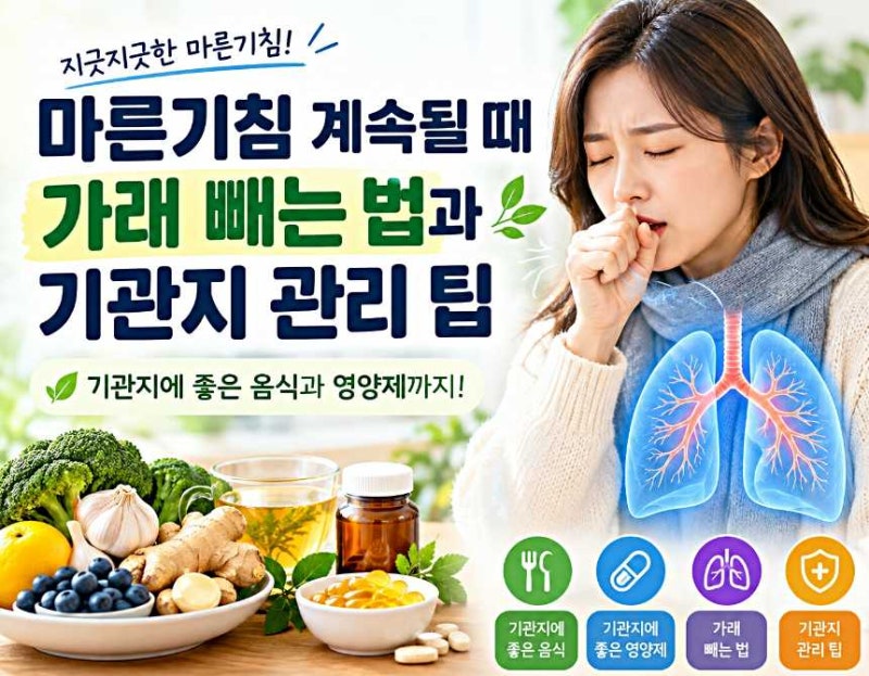마른기침 계속될 때 가래 빼는 법과 기관지 관리 팁
