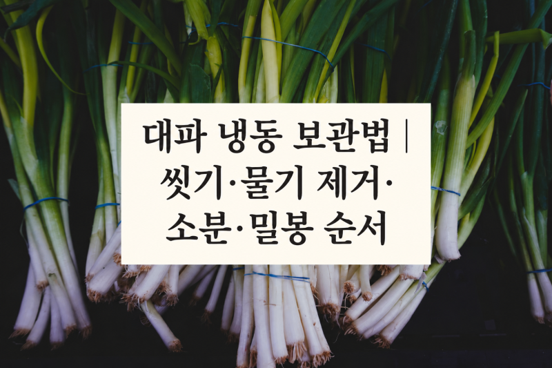 대파 냉동 보관법｜씻기·물기 제거·소분·밀봉 순서