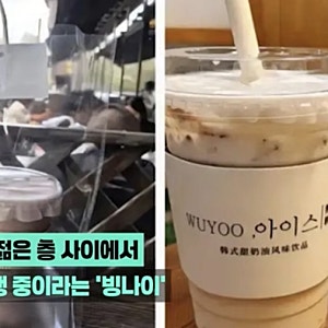 중국서 ‘한국식 음료’ 인기…정작 한국엔 없는 아이스밀크, 중국 MZ 사로잡았다