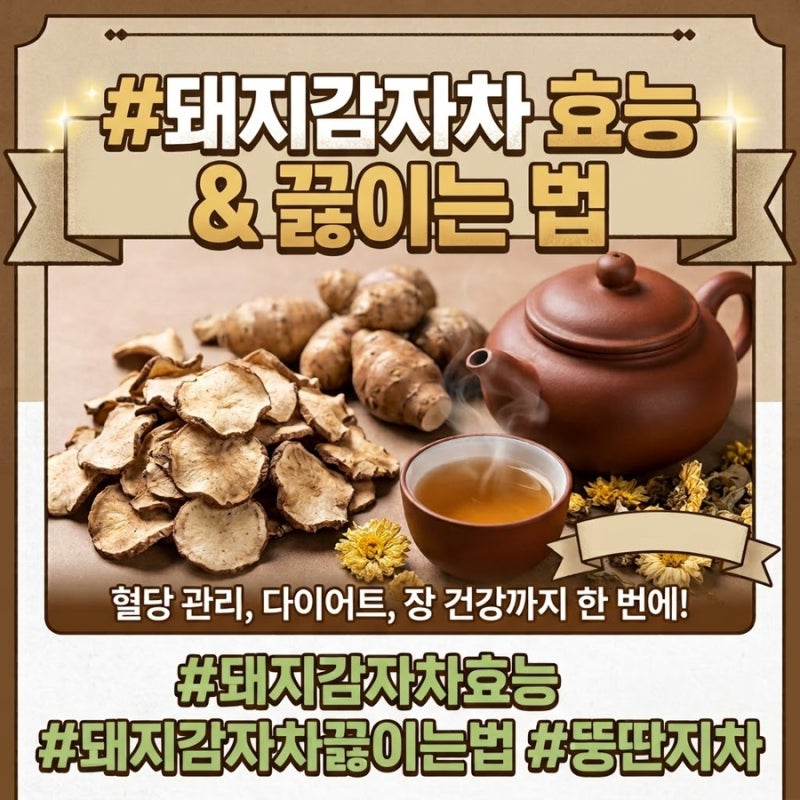 뚱딴지 돼지감자차 효능부터 부작용 없이 마시는 법까지 깔끔 정리가이드