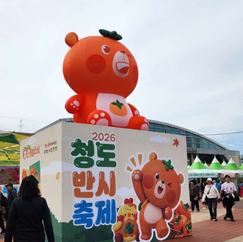 청도반시축제 주차 먹거리 아이랑 체험 후기