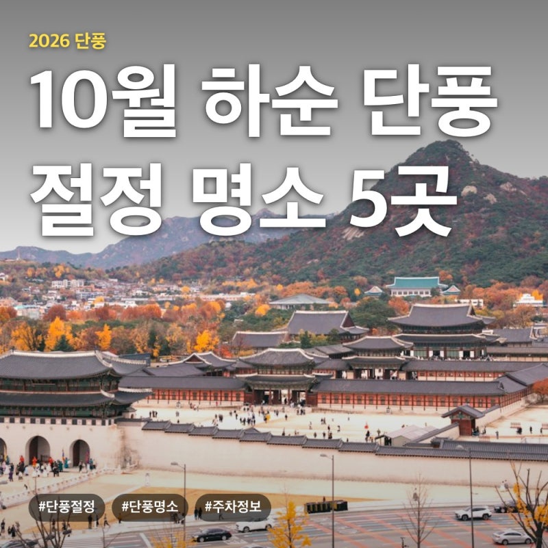 10월 마지막 주 단풍 절정 명소 5곳, 시기·입장료·주차 총정리