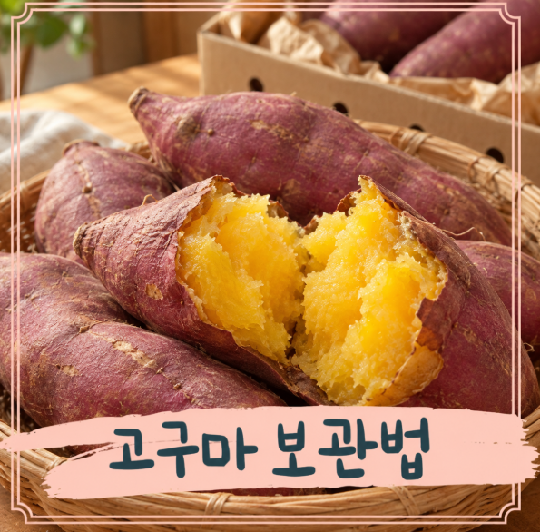 고구마 보관법 제대로 알기! 실온 냉장 냉동 오래 보관 꿀팁