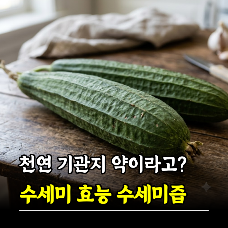 천연 기관지 약이라고? 수세미 효능 수세미즙 먹는법