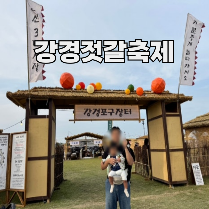 2026 강경젓갈축제 22주 임산부+14개월 아기랑 다녀온 후기
