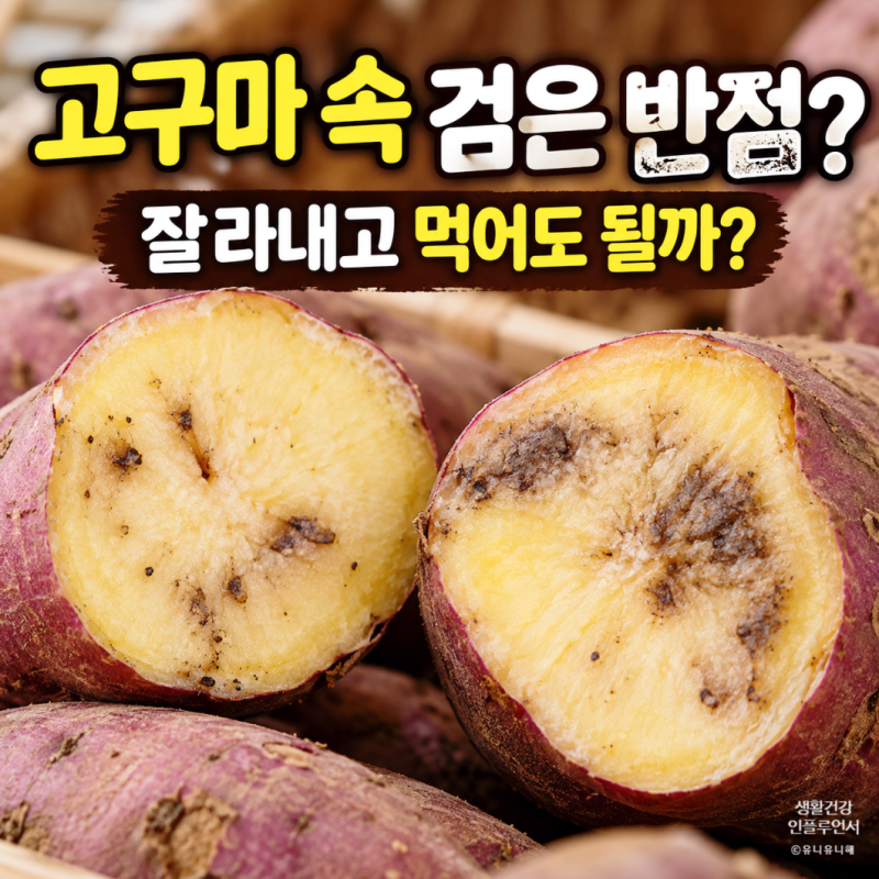 고구마 속 검은 반점? 먹으면 위험한 검은무늬병 구별법과 올바른 보관법