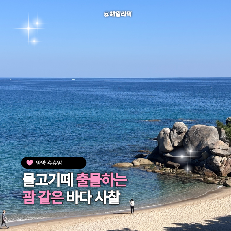양양 휴휴암 물고기 떼 출몰하는 바다 사찰 후기 (+애견동반 여부, 주차 꿀팁)