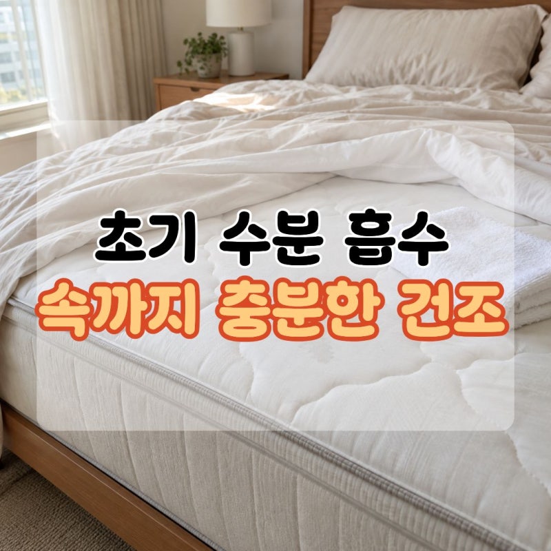 매트리스오줌 "겉은 말랐는데 냄새가..." 매트리스얼룩제거만으로 끝나지 않는 이유
