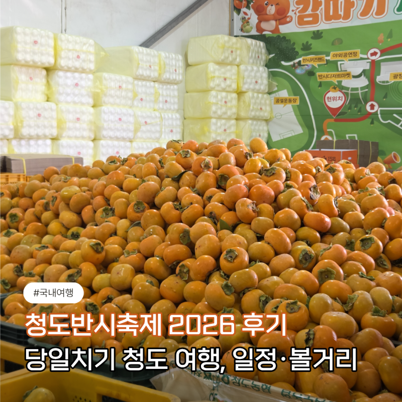 청도반시축제 2026 후기 | 당일치기 청도 여행, 축제 일정·볼거리