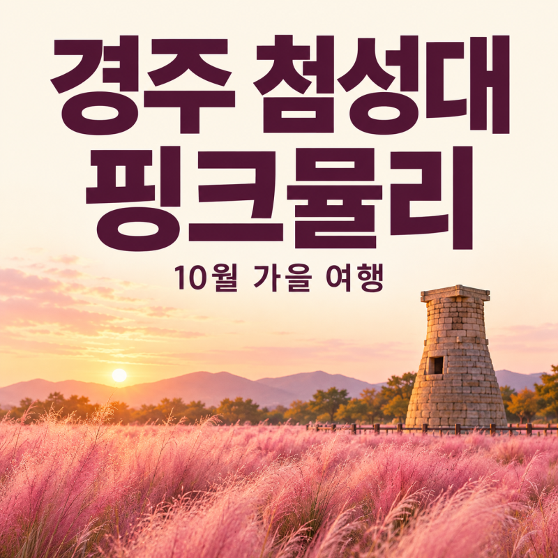 경주 첨성대 핑크뮬리 2026, 10월 16일 만개 후기와 주차 요금 3곳 정리
