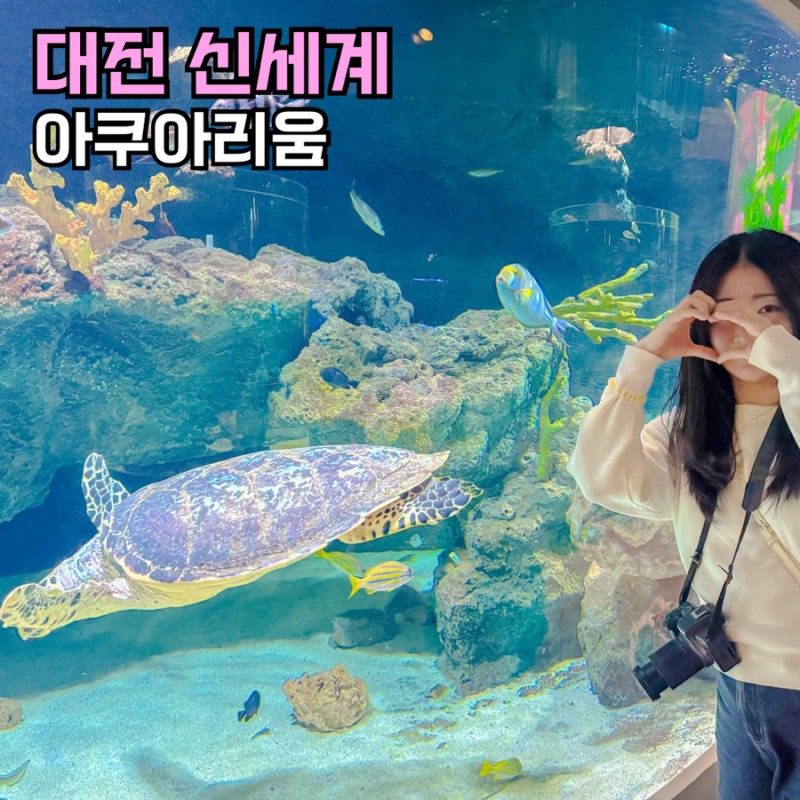 대전 아쿠아리움 신세계 엑스포아쿠아리움 할인 찐후기