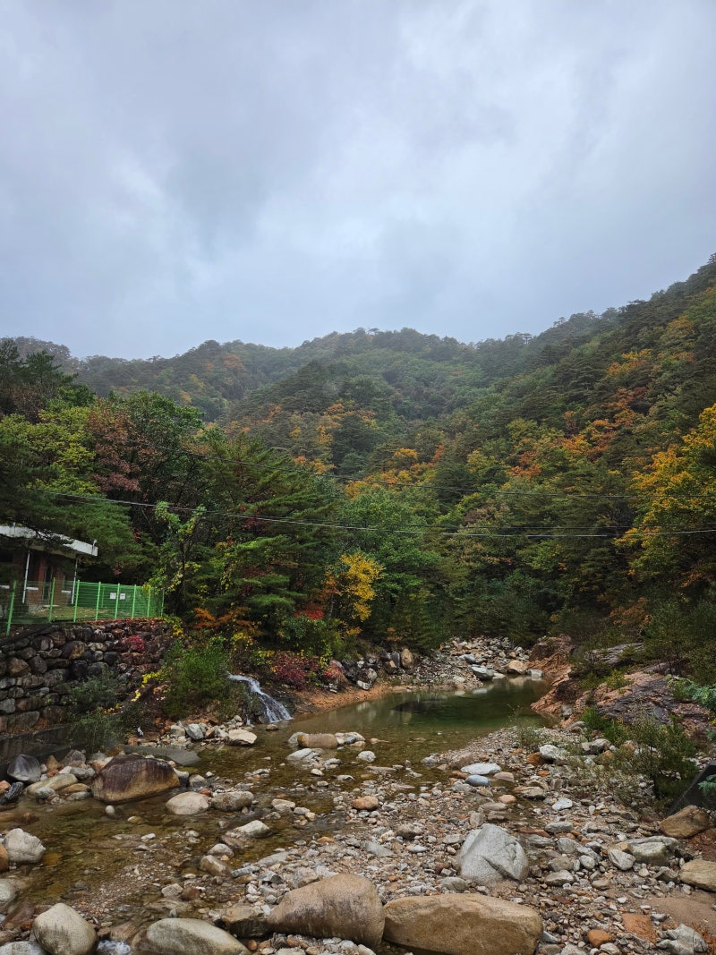 2026 설악산 단풍 절정은 언제일까요? 가을이면 설악산을 찾아야 하는 진짜 이유단풍이 물드....
