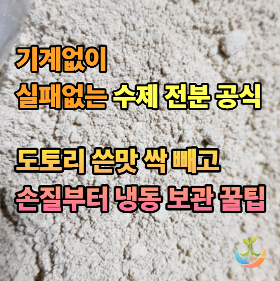 사 먹는 묵과 차원이 다른 수제 도토리가루 만들기! (껍질 까기부터 냉동 보관까지)