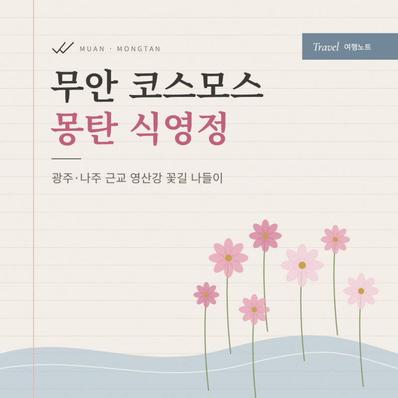 광주 나주 근교 코스모스 보러 무안 몽탄 식영정, 영산강 꽃길 산책