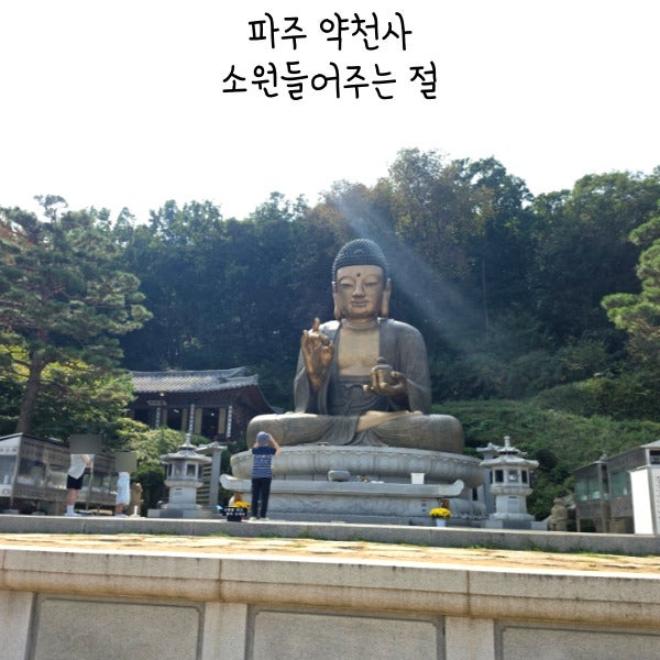 파주 약천사 소원들어주는 절 주차 애견동반 정보 정리