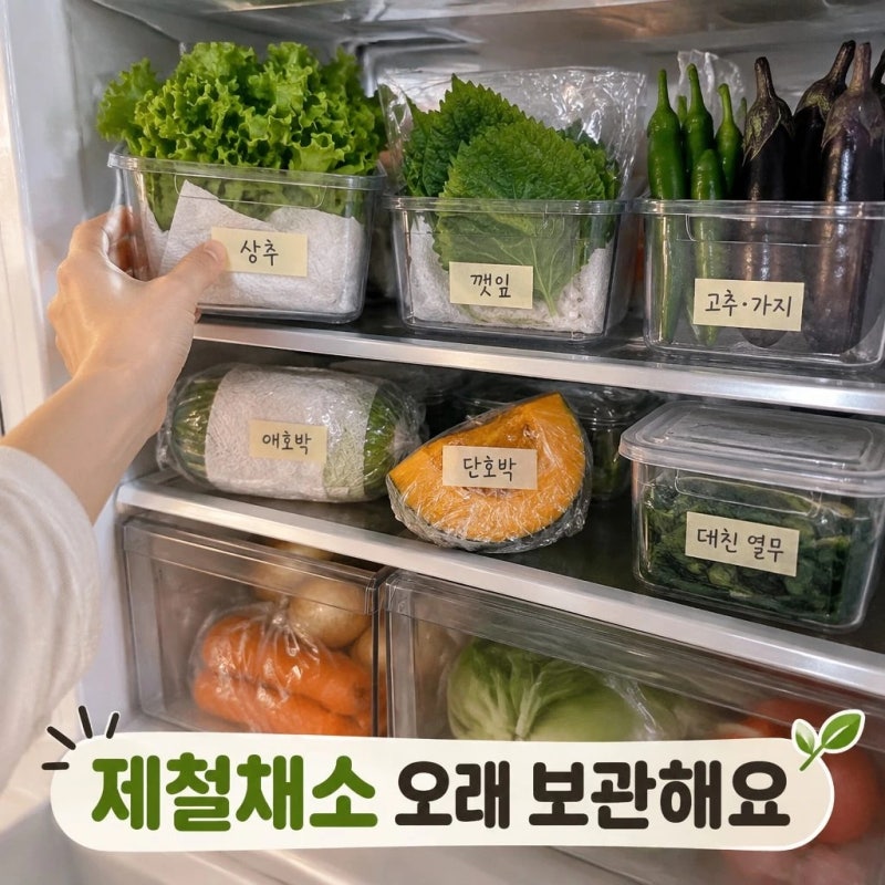 냉장고 속 제철 채소 오래 보관하는 법