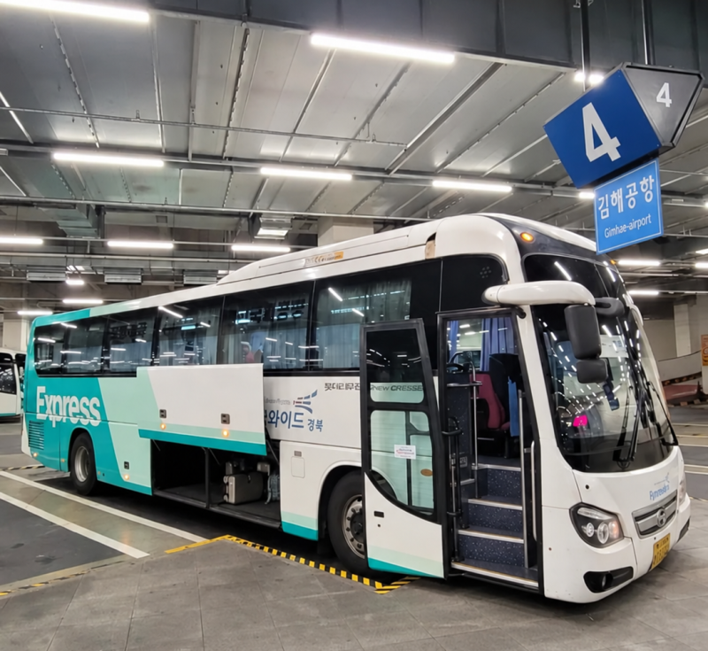 2026년 10월 최신 동대구-김해공항 버스 최신정보 ┃ 시간, 탑승장소, 예매방법