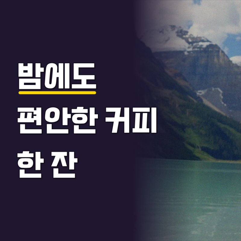 맥심 디카페인 커피 리필 170g 인스턴트커피 무카페인 야간커피 커피믹스 대용량