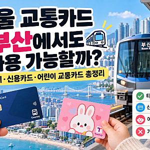 서울 교통카드 부산에서도 사용 가능할까? 티머니·신용카드·어린이 교통카드 총정리