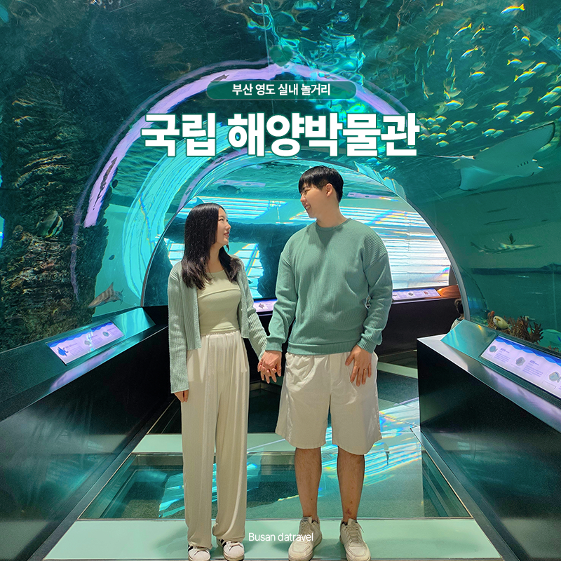 국립 해양 박물관 부산 영도 실내 놀 거리 주차 4D 영상관