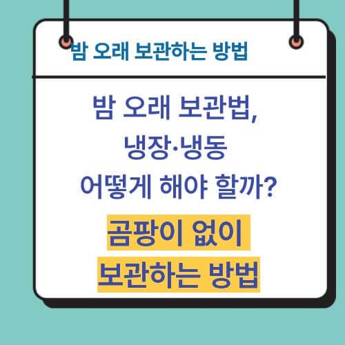 밤 오래 보관법, 냉장·냉동 어떻게 해야 할까? 곰팡이 없이 보관하는 방법