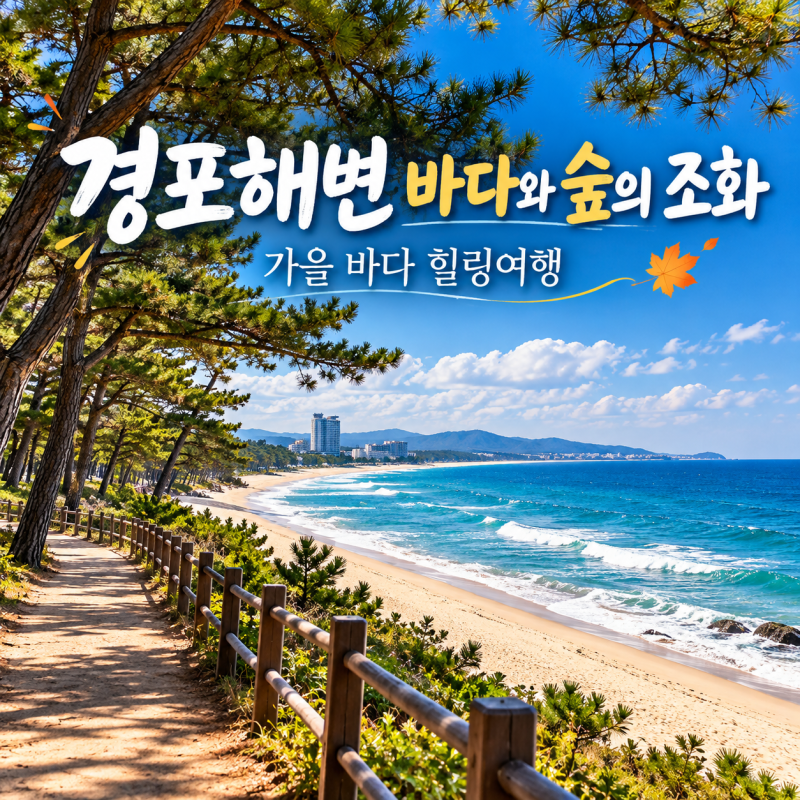 푸른 동해바다와 소나무 숲이 어우러진 강원 강릉 경포대 경포해변